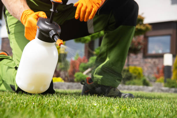 Seasonal Pest Control in Middletown, NY